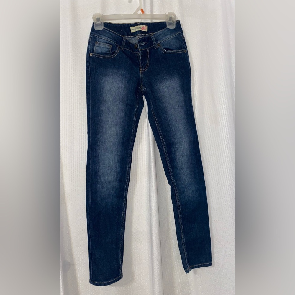 Vintage Paris Blues Indigo Skinny Jeans